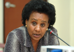 Woizero Amina Nurhussein